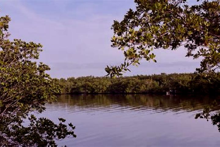 escort Indian River