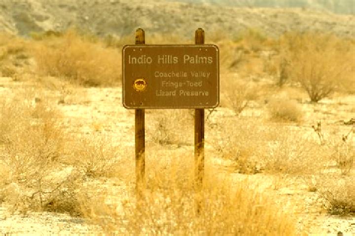 escort Indio Hills