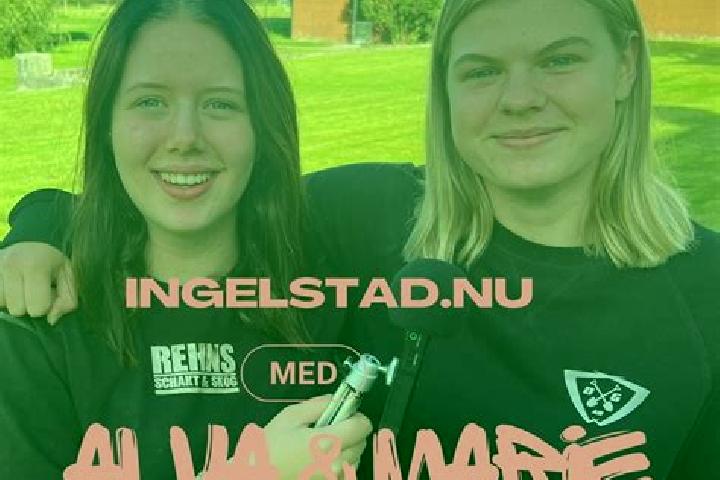 escort Ingelstad