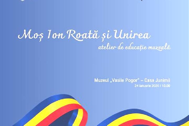 escort Ion Roata