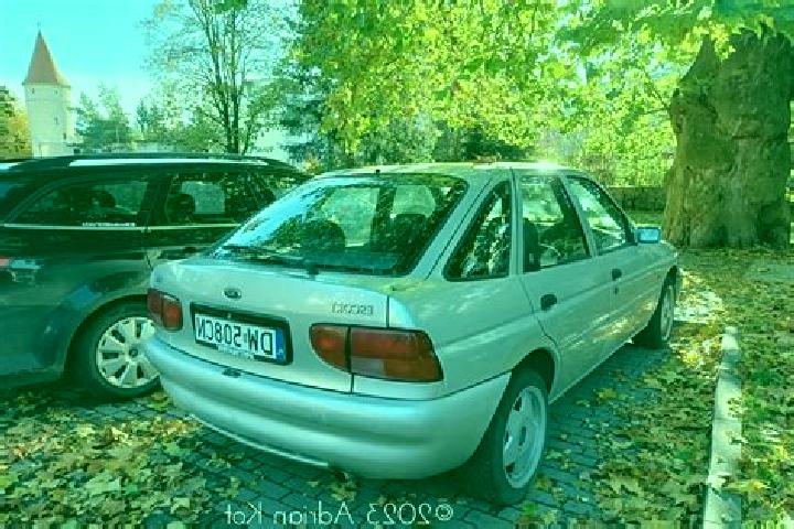 escort Irschen