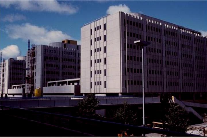 escort Itae-Pasila