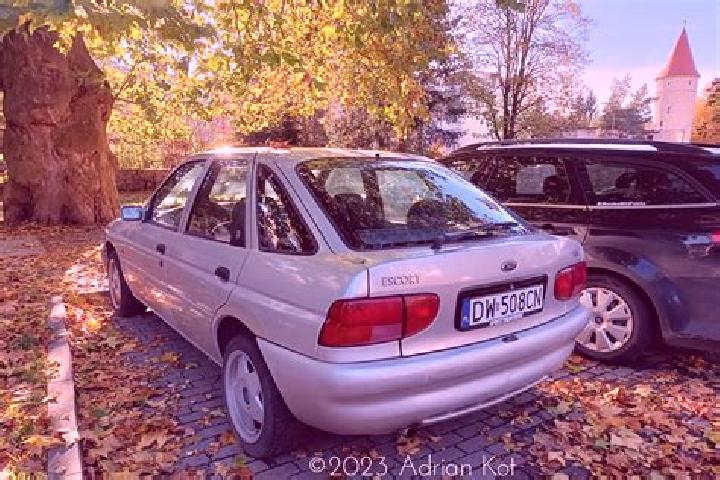 escort Itterbeck