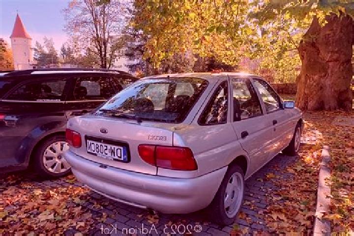 escort Jagiroad