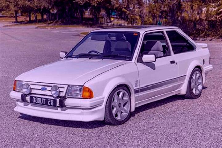 escort Jaksic