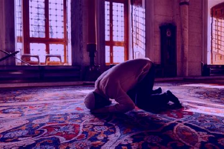escort Jamaat Shaim