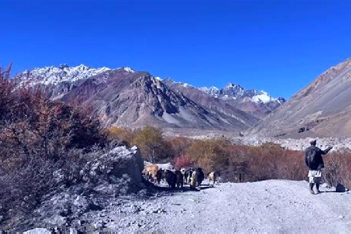 escort Jandiala Sher Khan
