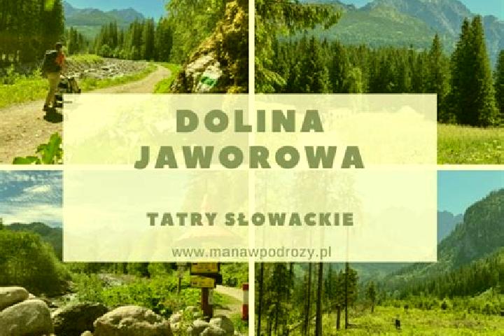 escort Jaworowa