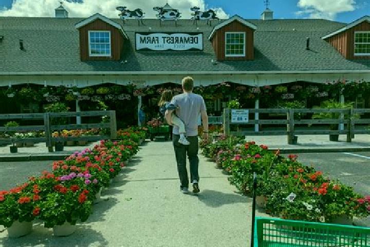 escort Jersey Farm