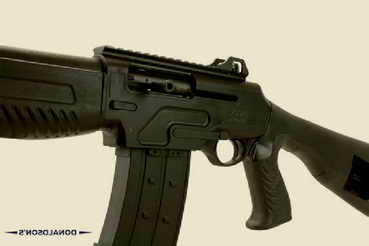escort Jinan-gun