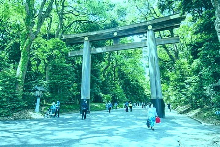 escort Jingu