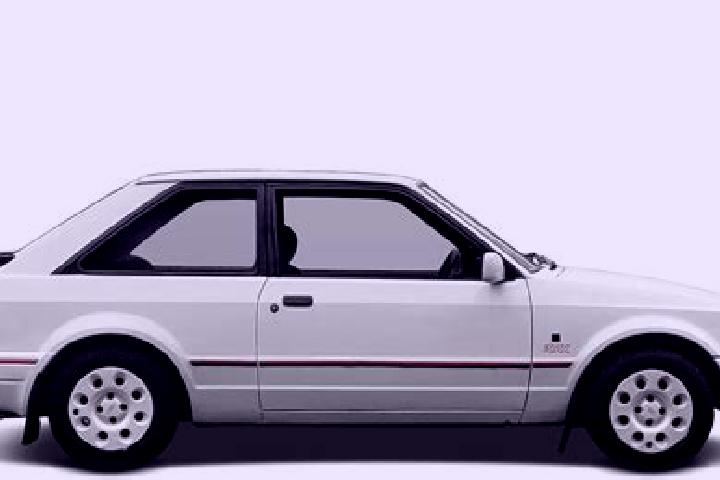 escort Jinhai
