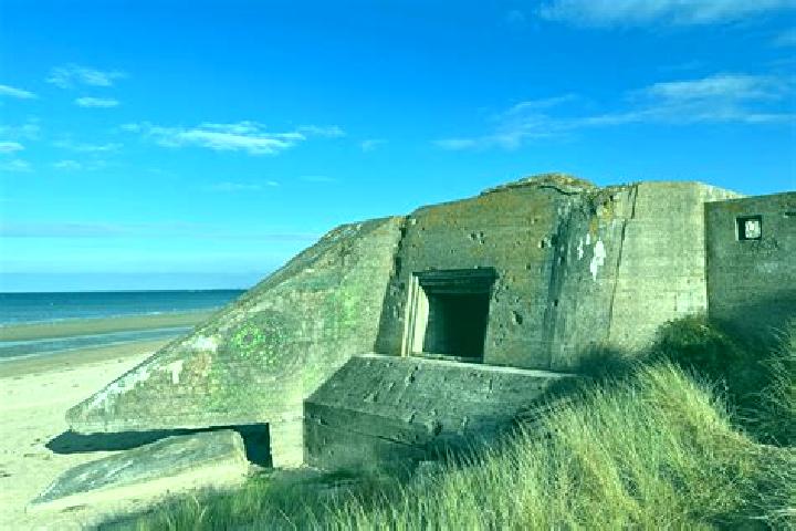 escort Juno Beach