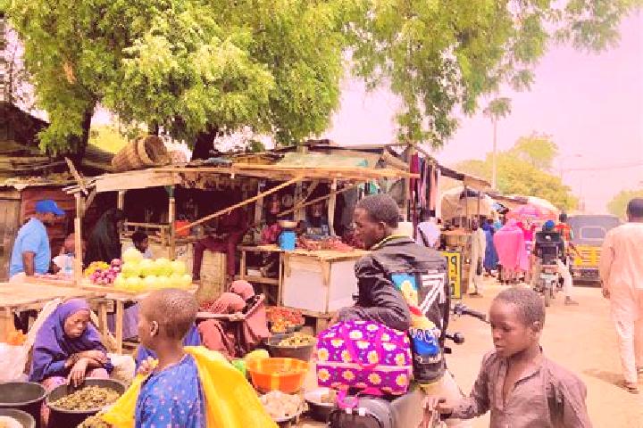 escort Kafin Hausa