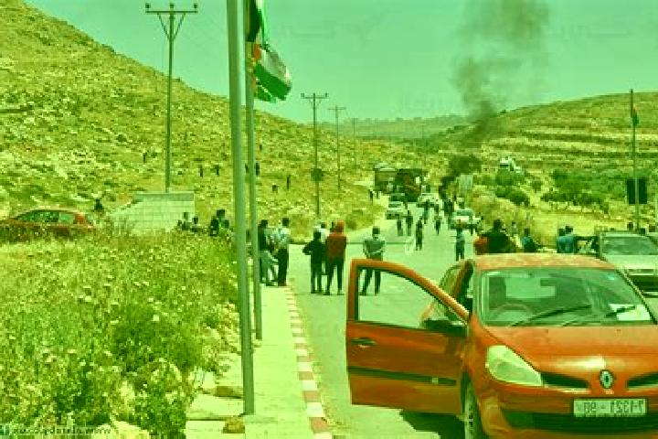 escort Kafr Qallil