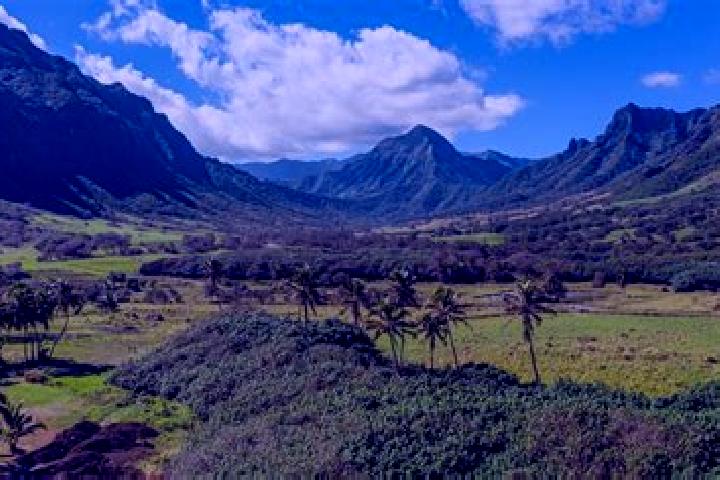 escort Kahuku-Kawela