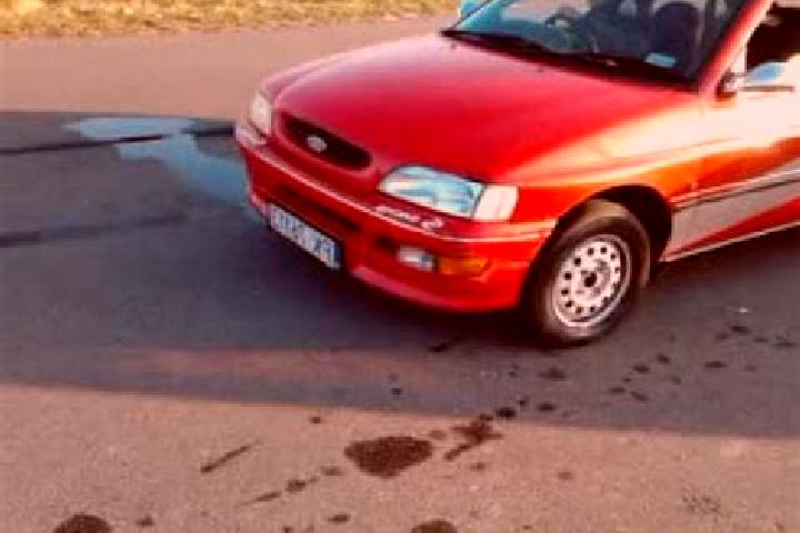 escort Kalisz
