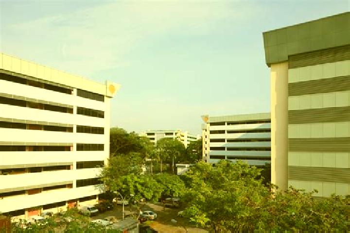 escort Kallang