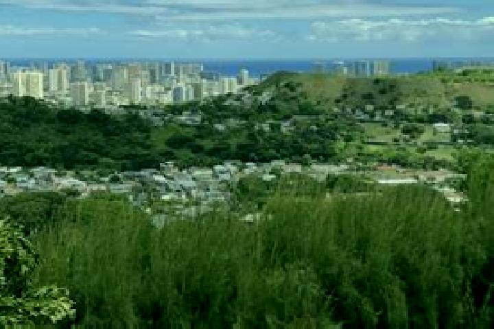 escort Kamehameha Heights