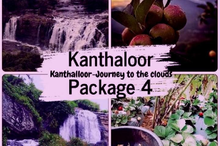 escort Kandalloor