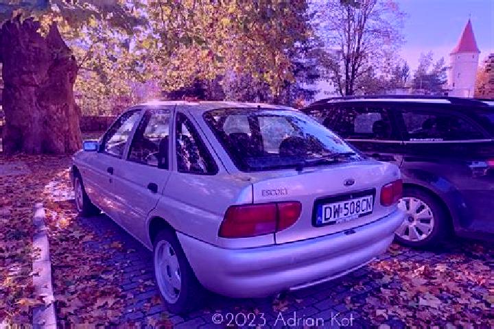 escort Kangani