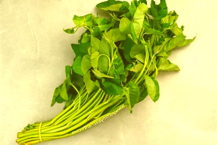 escort Kangkong