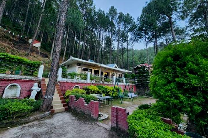 escort Kasauli