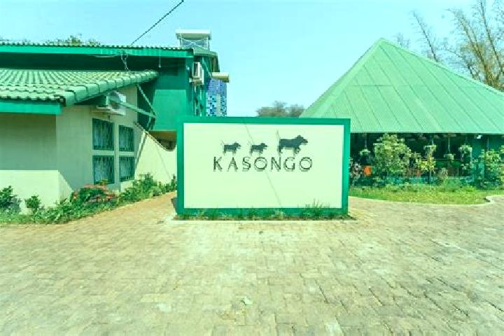 escort Kasongo