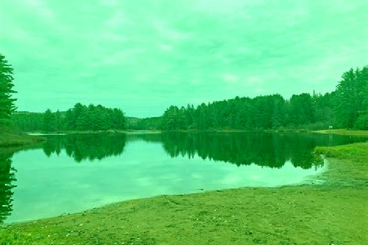 escort Kearney Lake