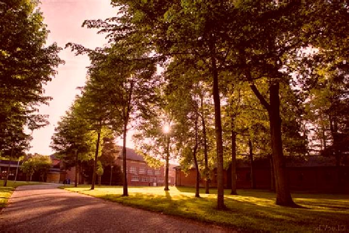 escort Keerbergen