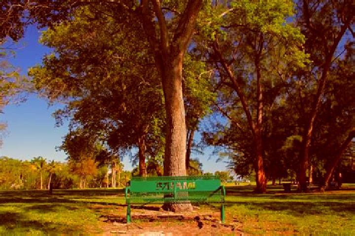 escort Kennedy Park