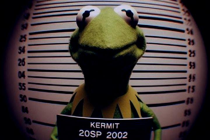 escort Kermit