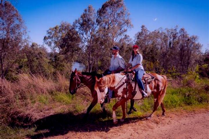 escort Kilcoy