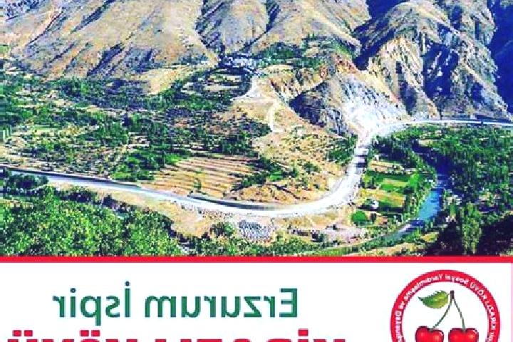 escort Kirazli