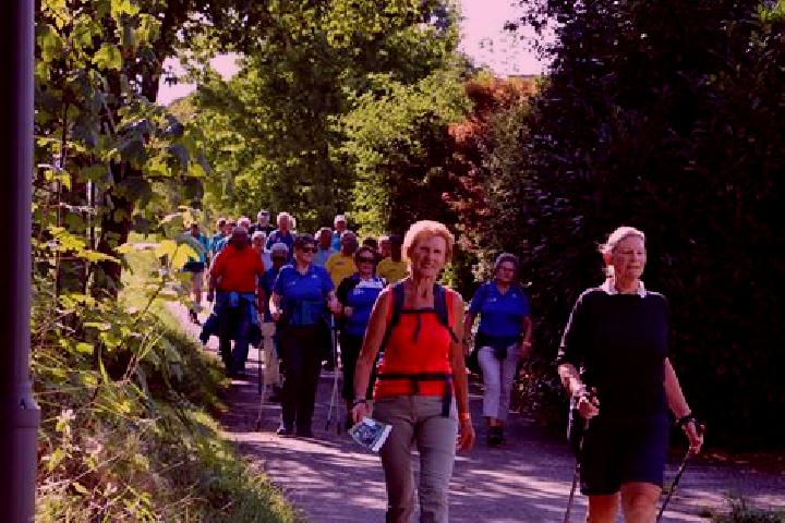 escort Kirchdorf am Inn