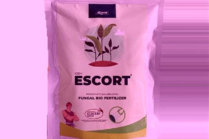 escort Kish