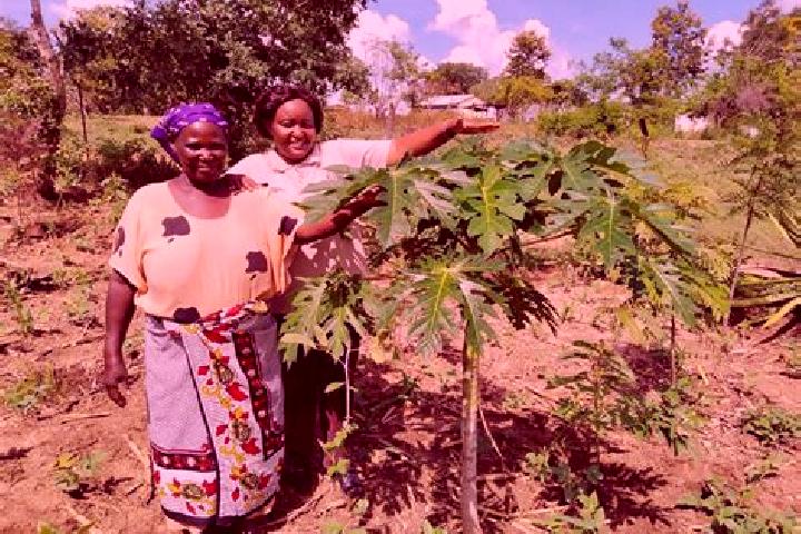 escort Kitui