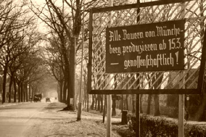 escort Klosterhaeseler