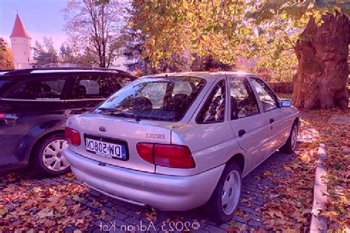 escort Knonau