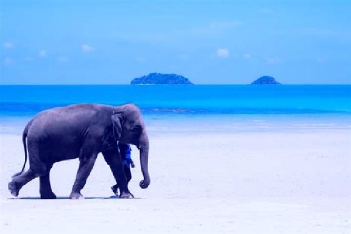 escort Ko Chang