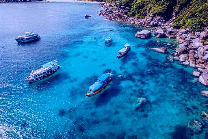 escort Koh Tao