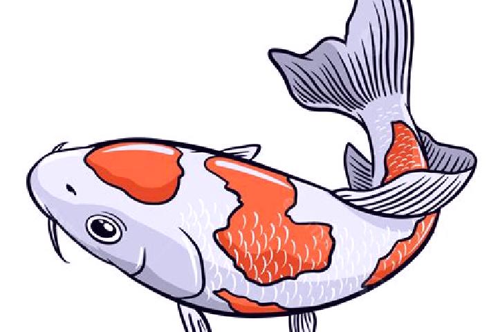 escort Koi Kouassikro