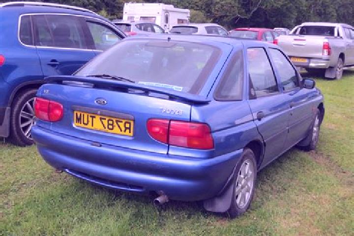 escort Kollmoor