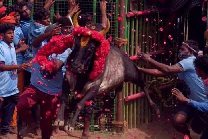 escort Koothappar