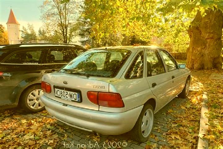 escort Kortenaken