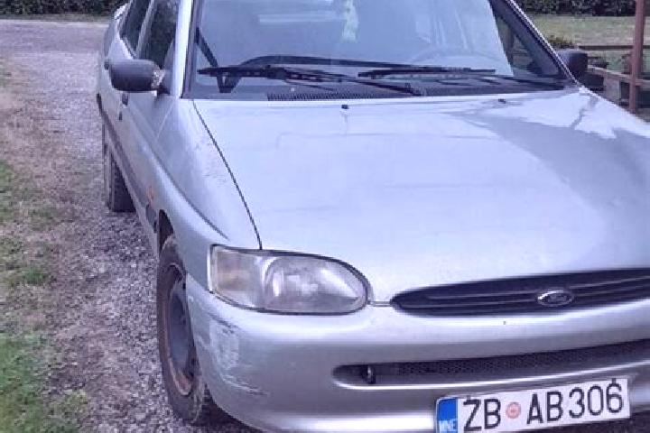 escort Kosaya Gora