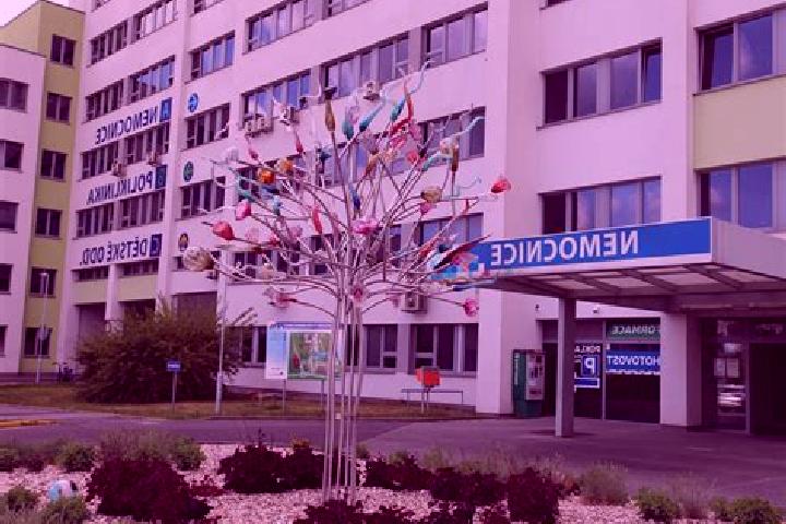 escort Kosice