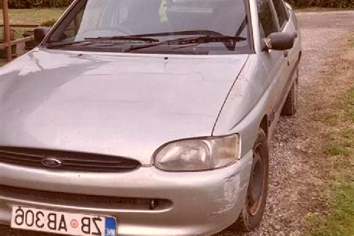 escort Krasnaya Gora