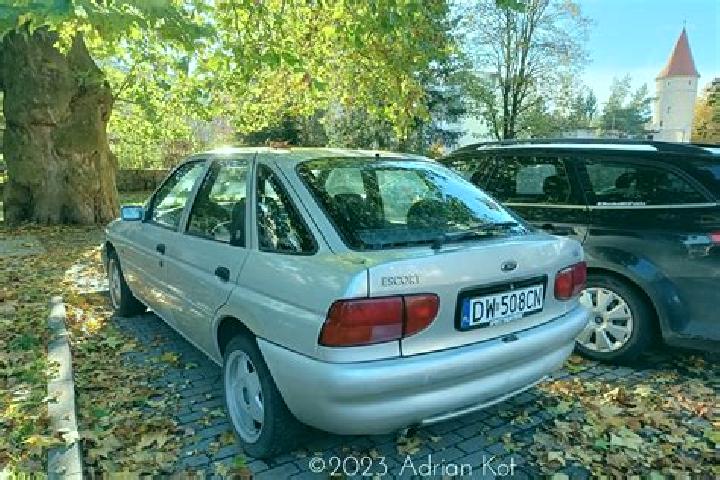 escort Krasnogvardeyskoye