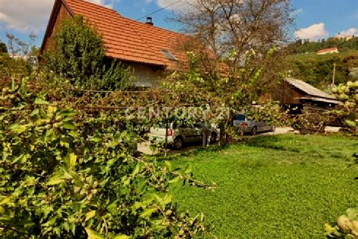 escort Krcevina pri Vurbergu